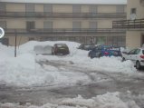 img005.jpeg.small.jpeg